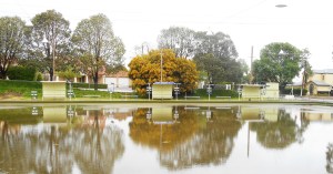 lake-trinity-gardens